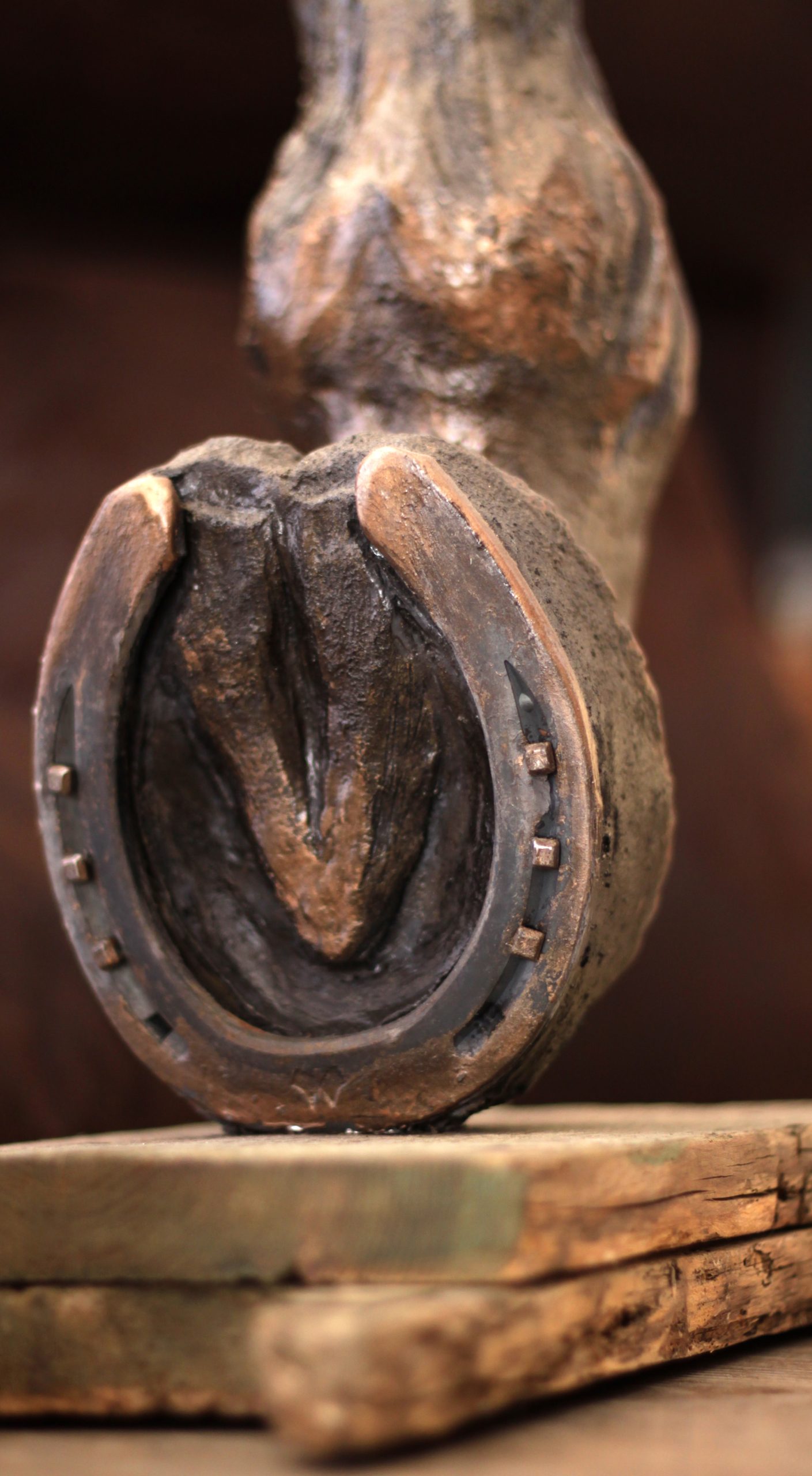 Sculpture Anteris
